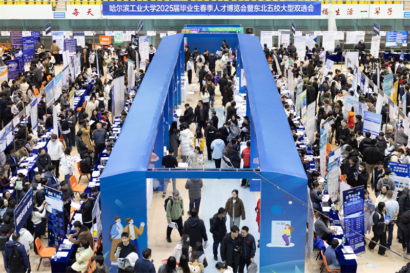 AI-powered job fair held in Harbin, China